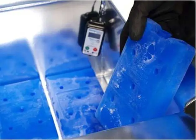 3. Servicios de distribución